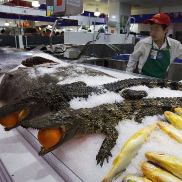 Sam’s Club China: Buy Supplies, Food & Alligators